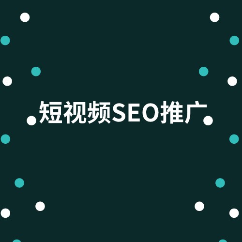 短视频排名推广服务产品图1