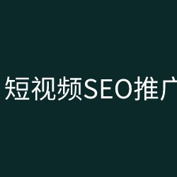 短视频排名推广服务