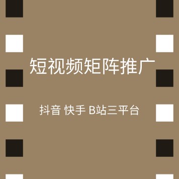 短视频矩阵推广系统产品图1